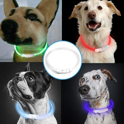 USB Rechargeable LED Pet Safety Collar